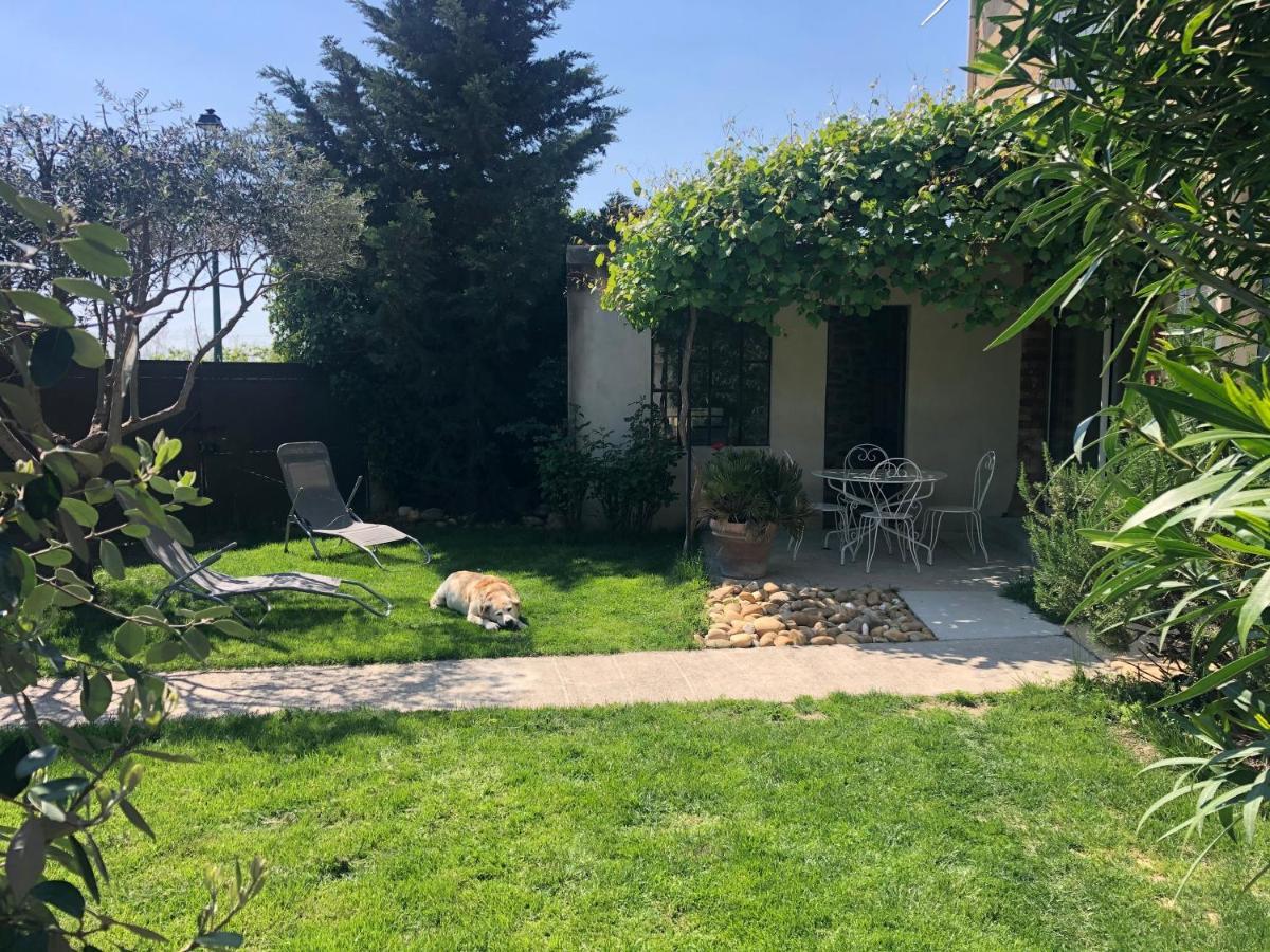 B&B - Le Vieux Figuier Vacqueyras Eksteriør billede